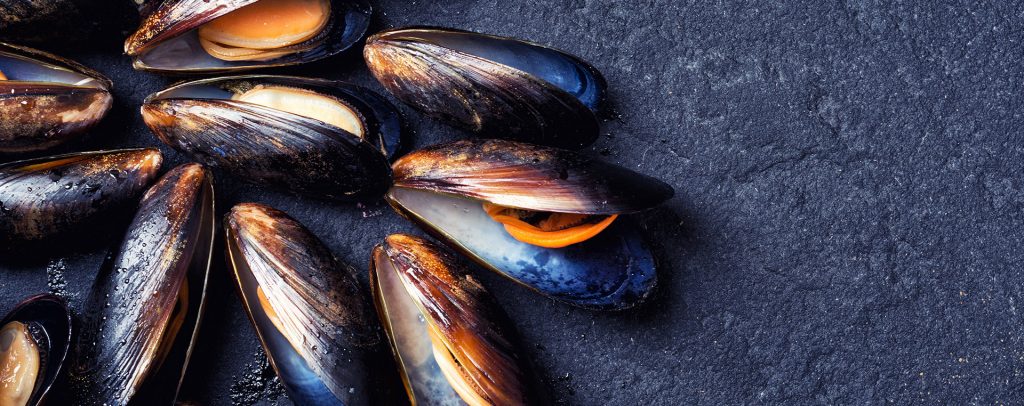 El calibre de los mejillones indica la cantidad de vianda en relación con la masa de las piezas de la conserva