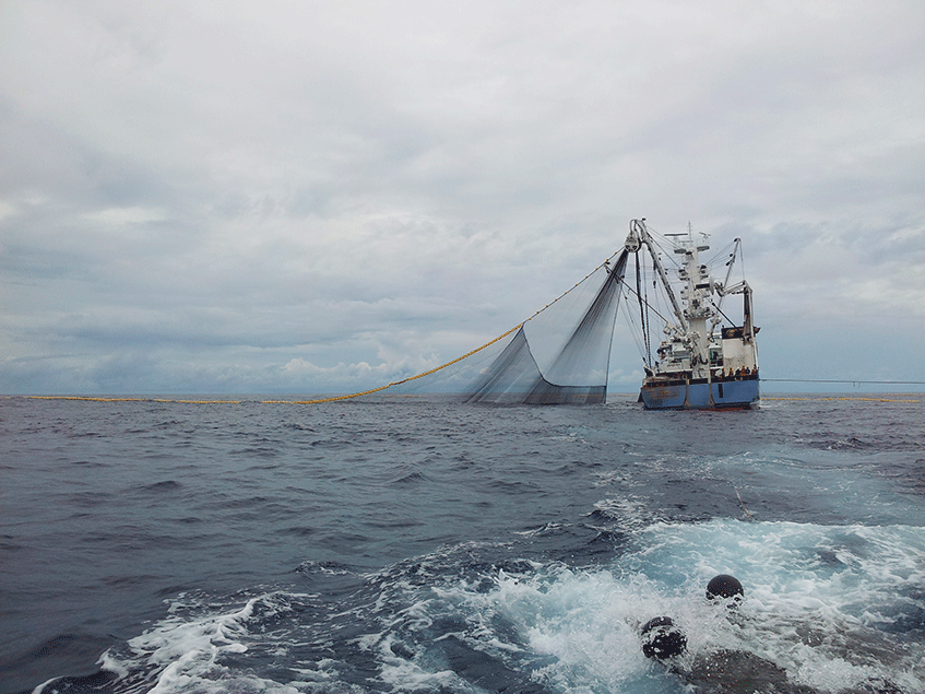 Barco pesquero en el mar en un contexto de pesca sostenible
Fishing boat at sea engaged in sustainable activities