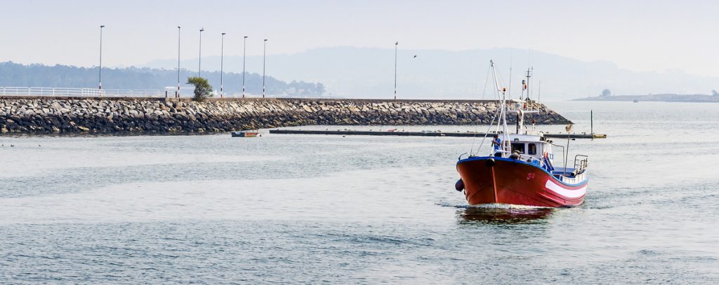 Los TAC en pesca (Totales Admisibles de Capturas) regulan la explotación económica de las especies marinas