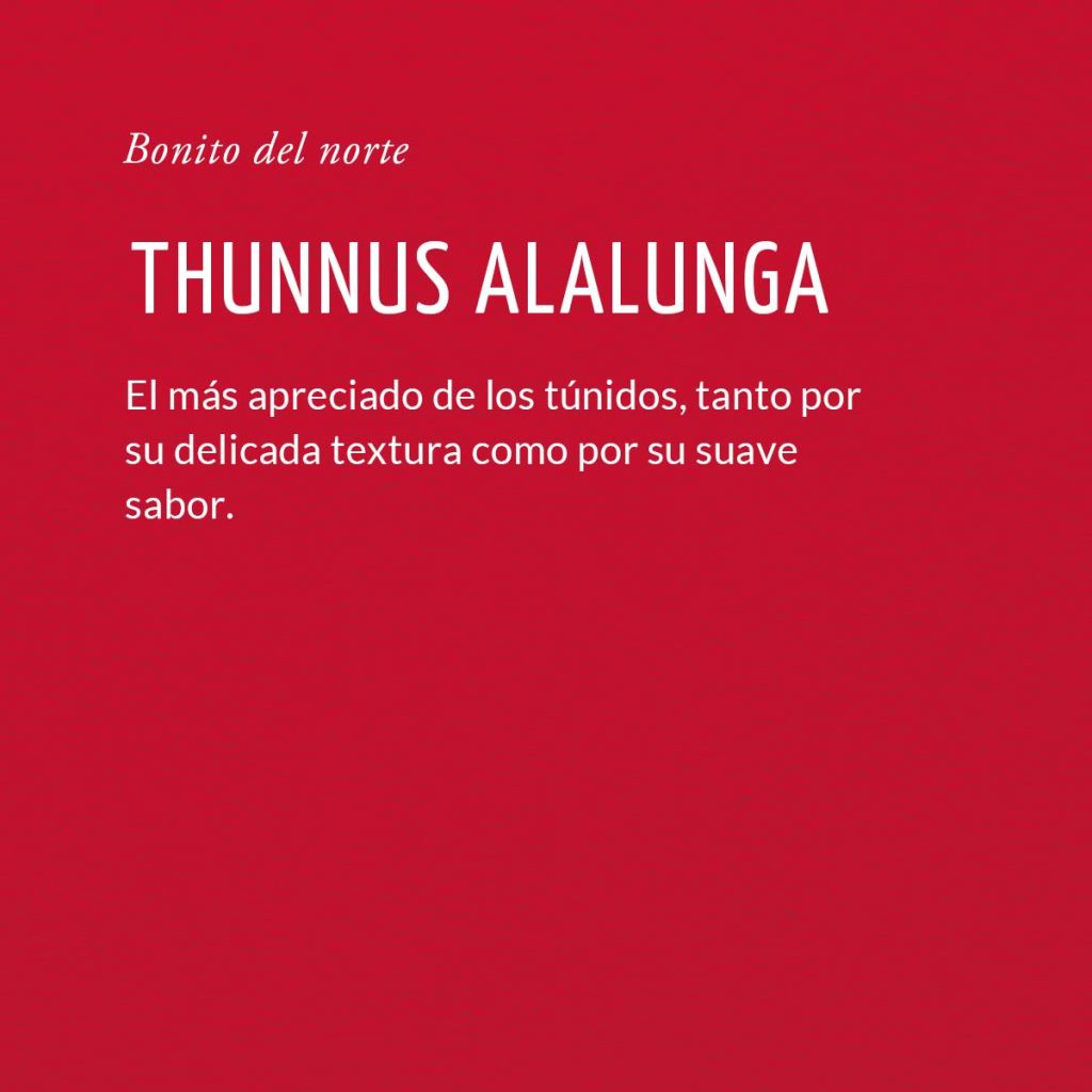 Thunus alakunga o Bonito del norte