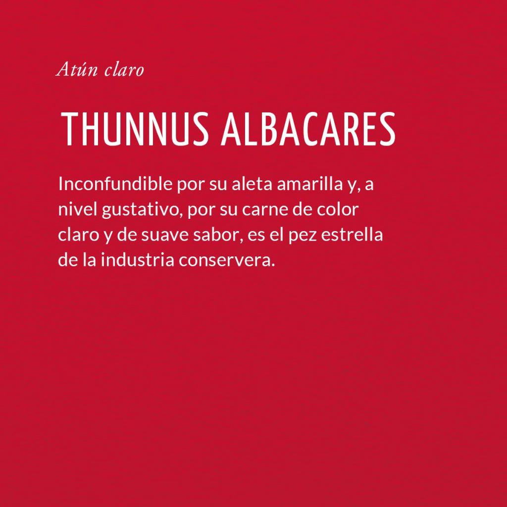 Thunnus albacares