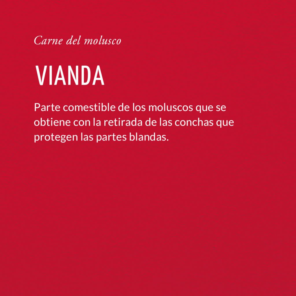 Vianda