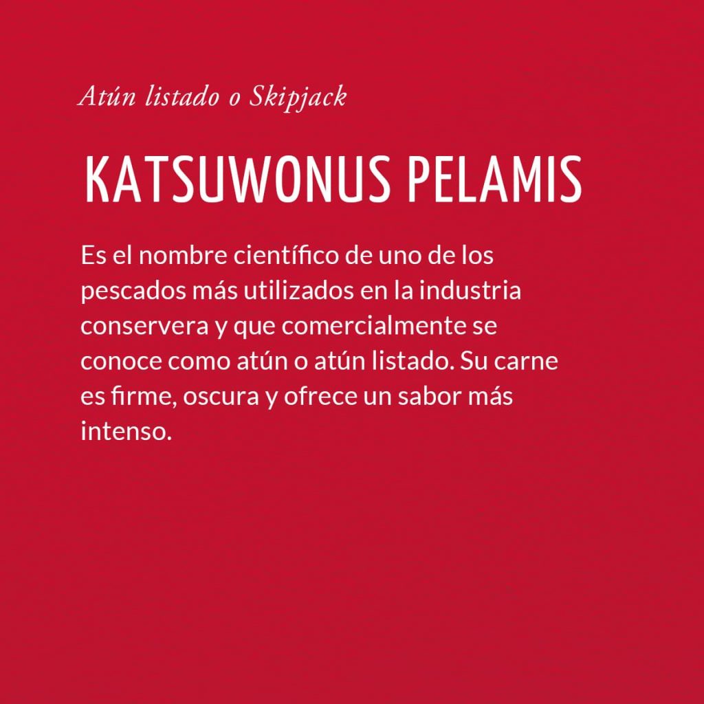 Katsuwonus pelamis o atún listado