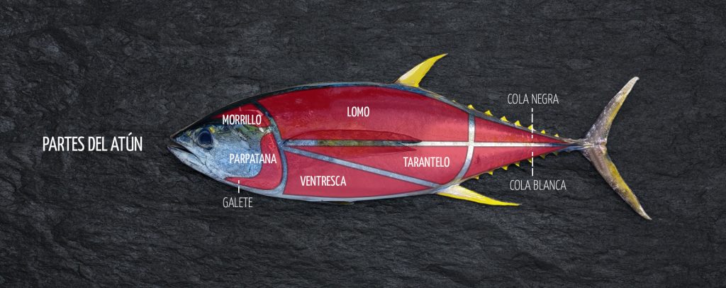 Partes del atún con algunos de sus despieces principales