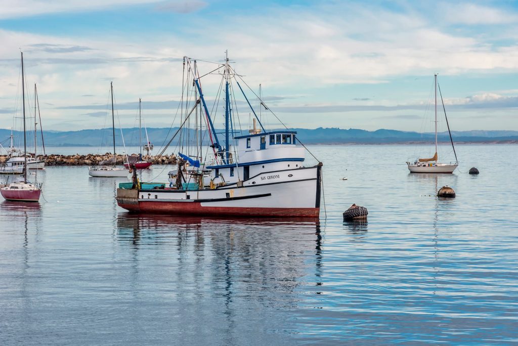 Barco pesquero