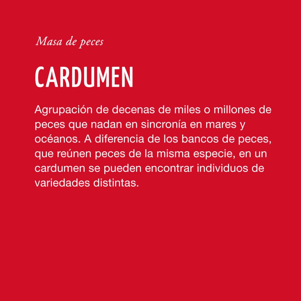 Cardumen
