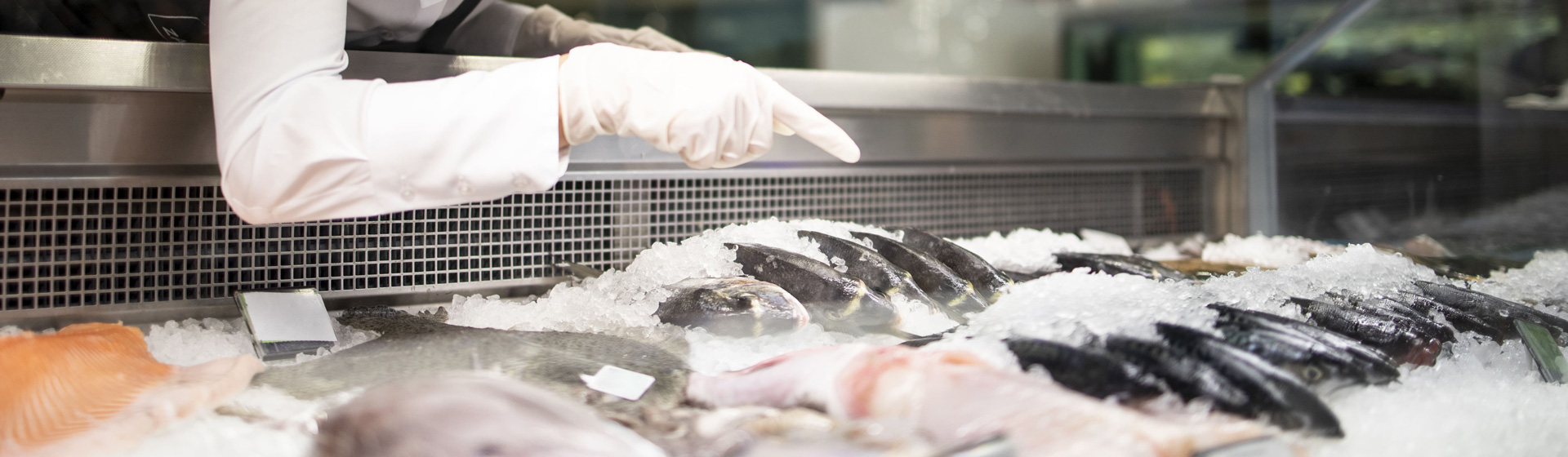 Imagen de fondo para ¿Cuáles son los pescados con menos calorías?