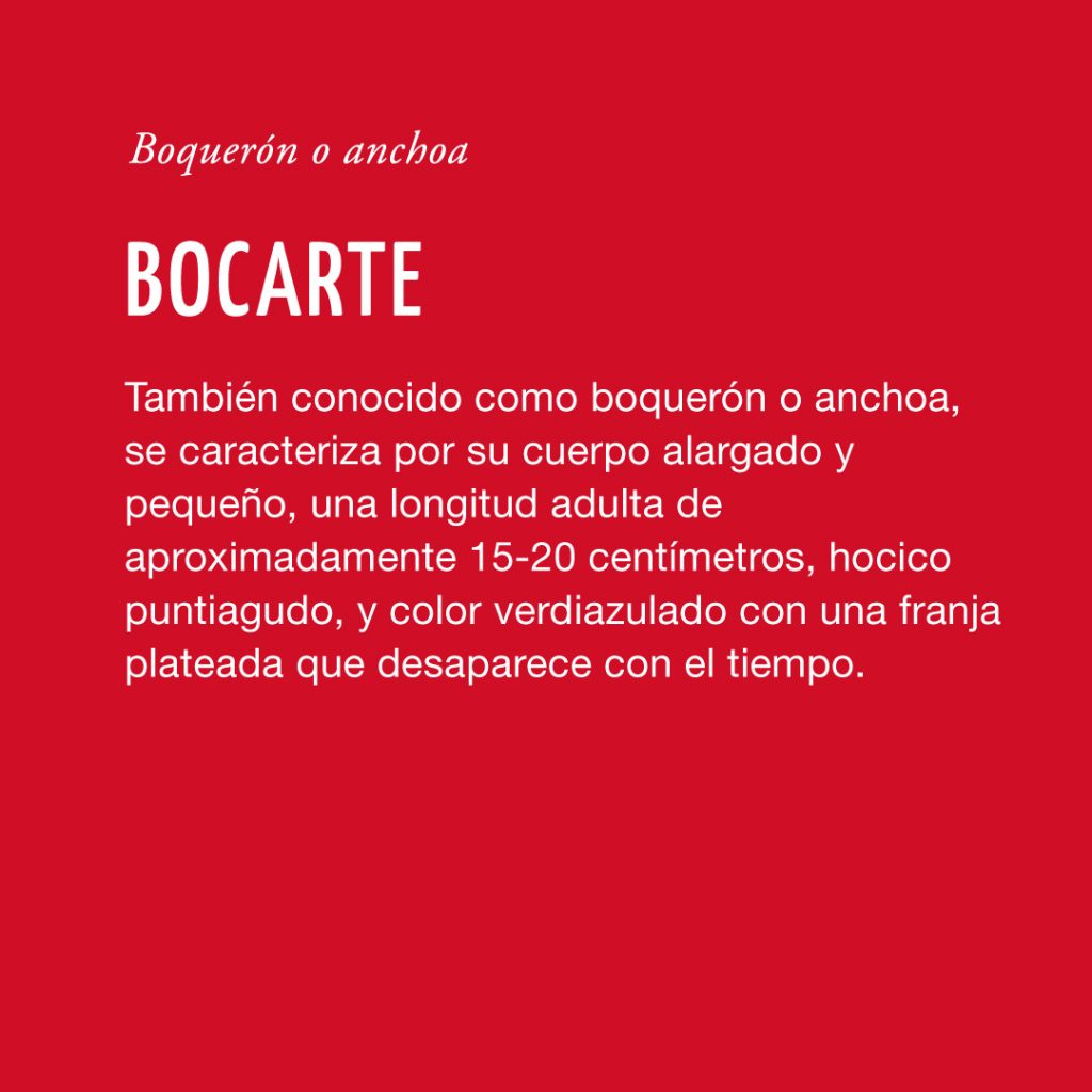 Bocarte
